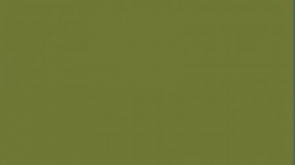 UA138 Olivgr�n RLM 80